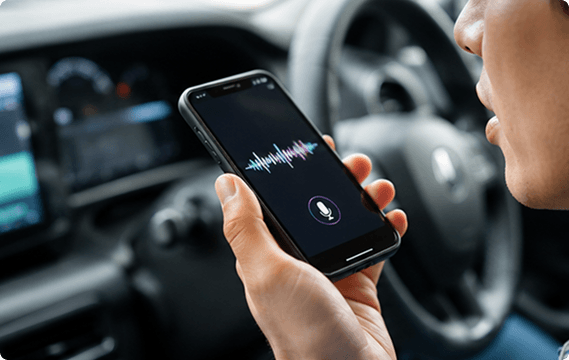 Voice Commands