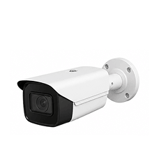 Fixed Surveillance Cameras